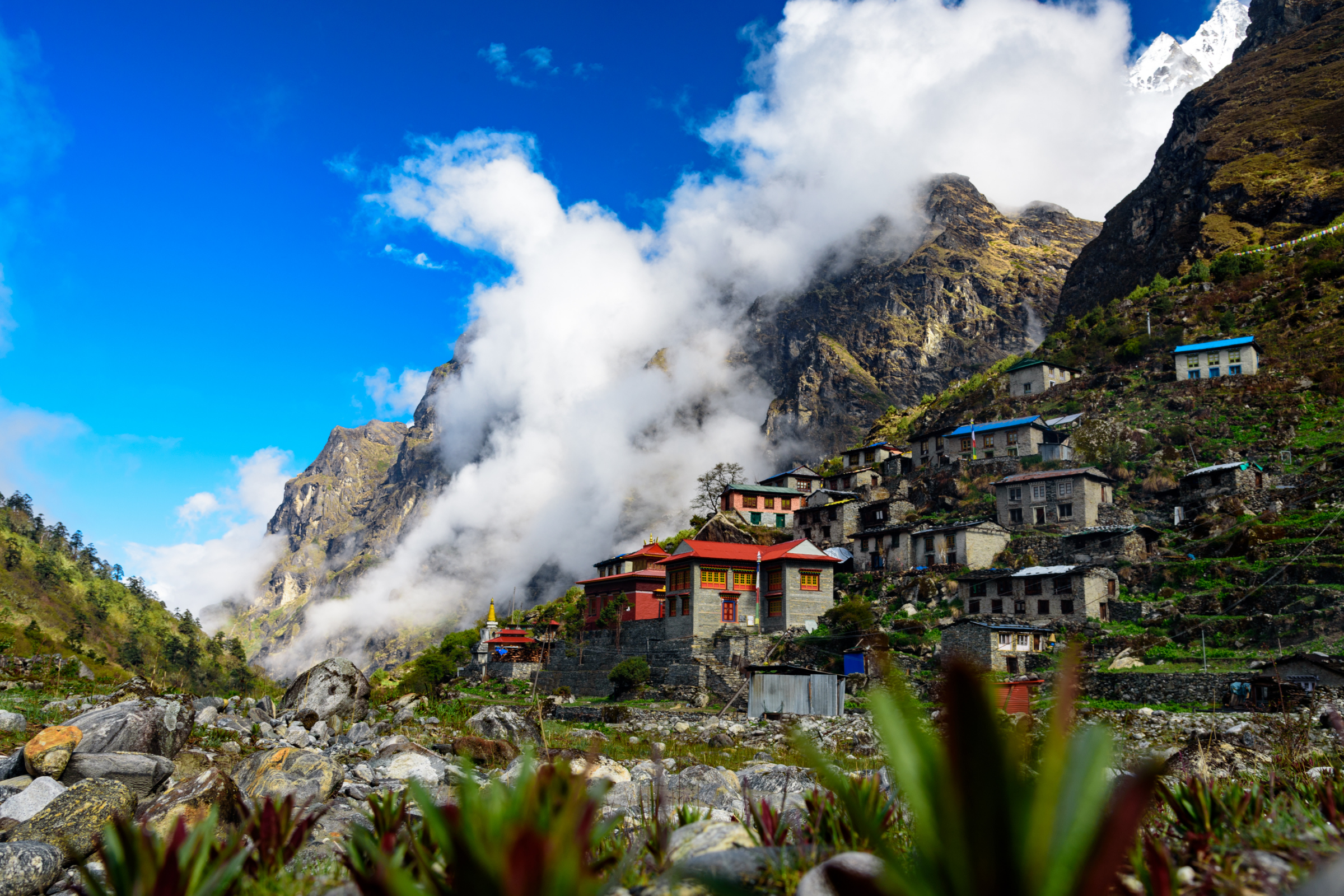 tikhedhunga (2).webp